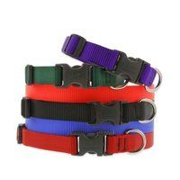 Multicolor Dog Collar Nylon Webbing