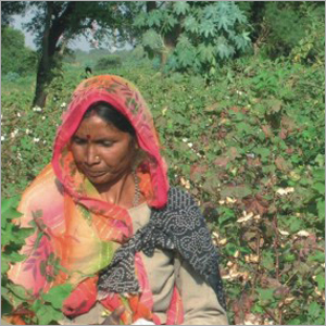 फेयर ट्रेड सर्टिफिकेशन