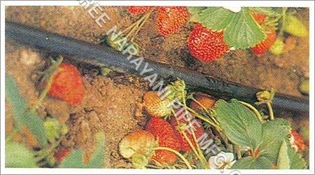 माइक्रो इरिगेशन सिस्टम