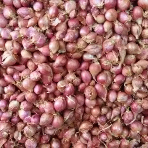 Red Onion