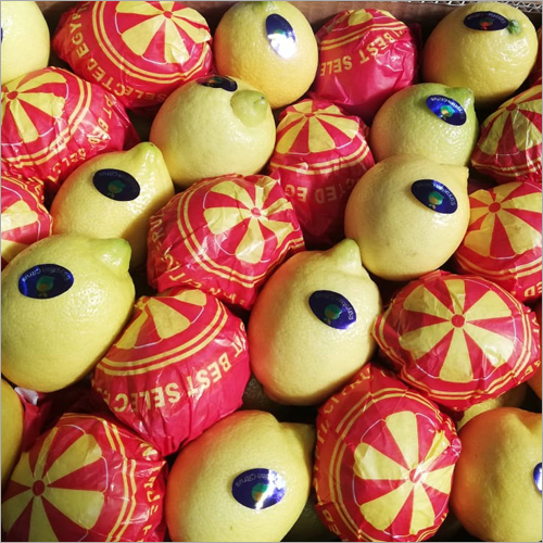 Fresh Lemon