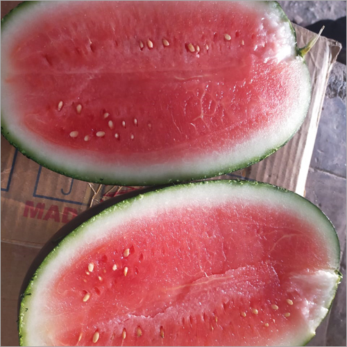 Organic Watermelon