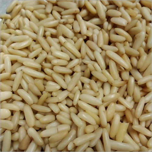 Fresh Pine Nut