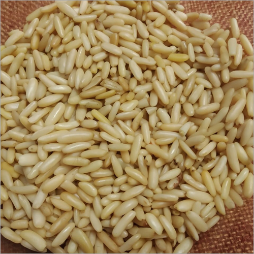 Fresh Pine Nut
