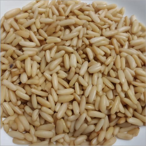 Fresh Pine Nut