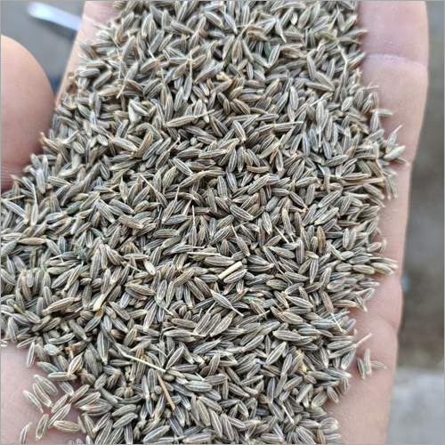 Dried Cumin Seed