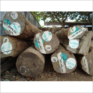 Pine Teak Logs