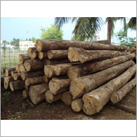 लंबे समय तक चलने वाले गमेलिना लॉग्स