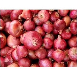 Red Onion