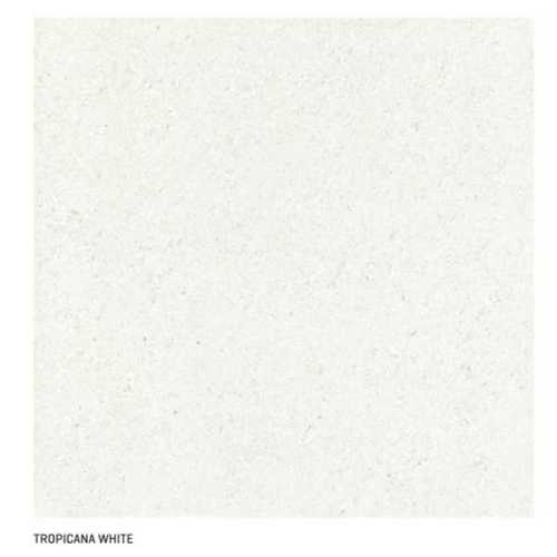 600 X 600 Mm Dc- Tropicana White Application: Floor Tiles