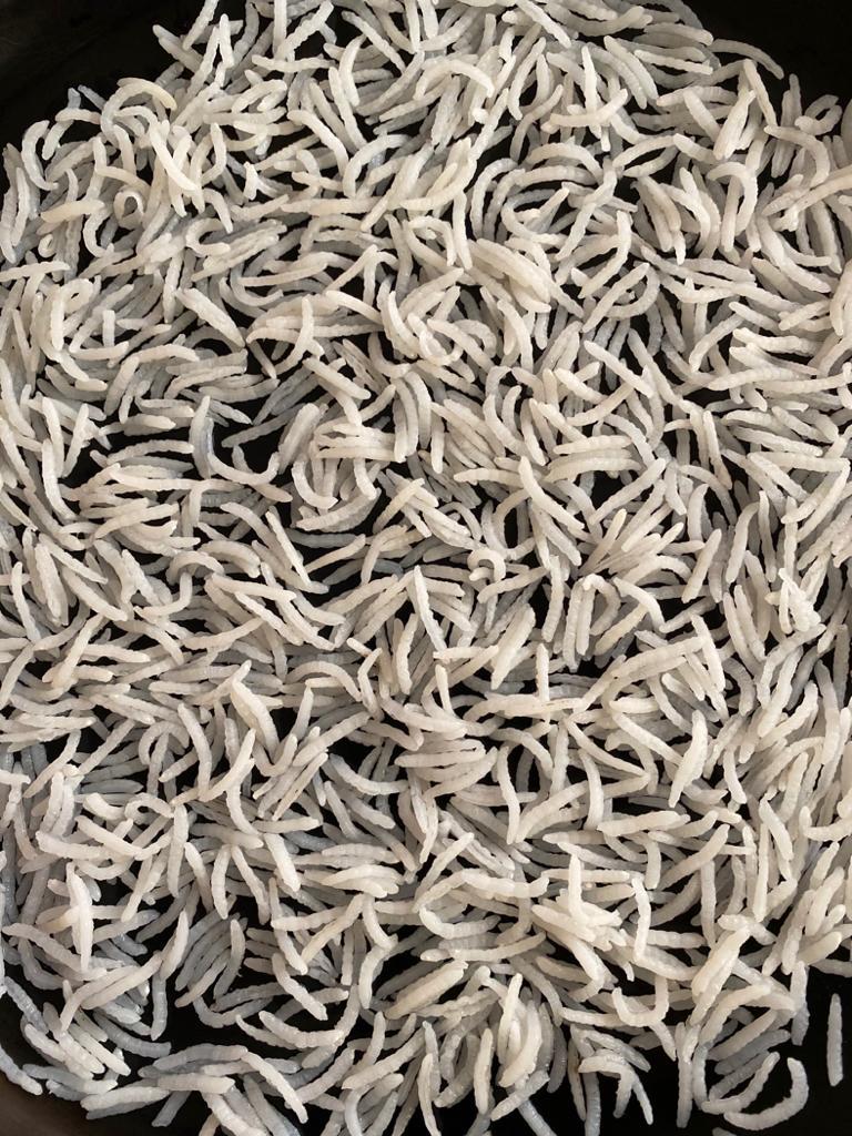 Golden Rice