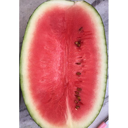 Organic Fresh Watermelon