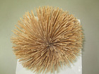 Natural White Bamboo Stick 1.2 Mm