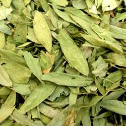 सेना छोड़ देता है