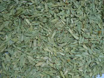 सेना छोड़ देता है