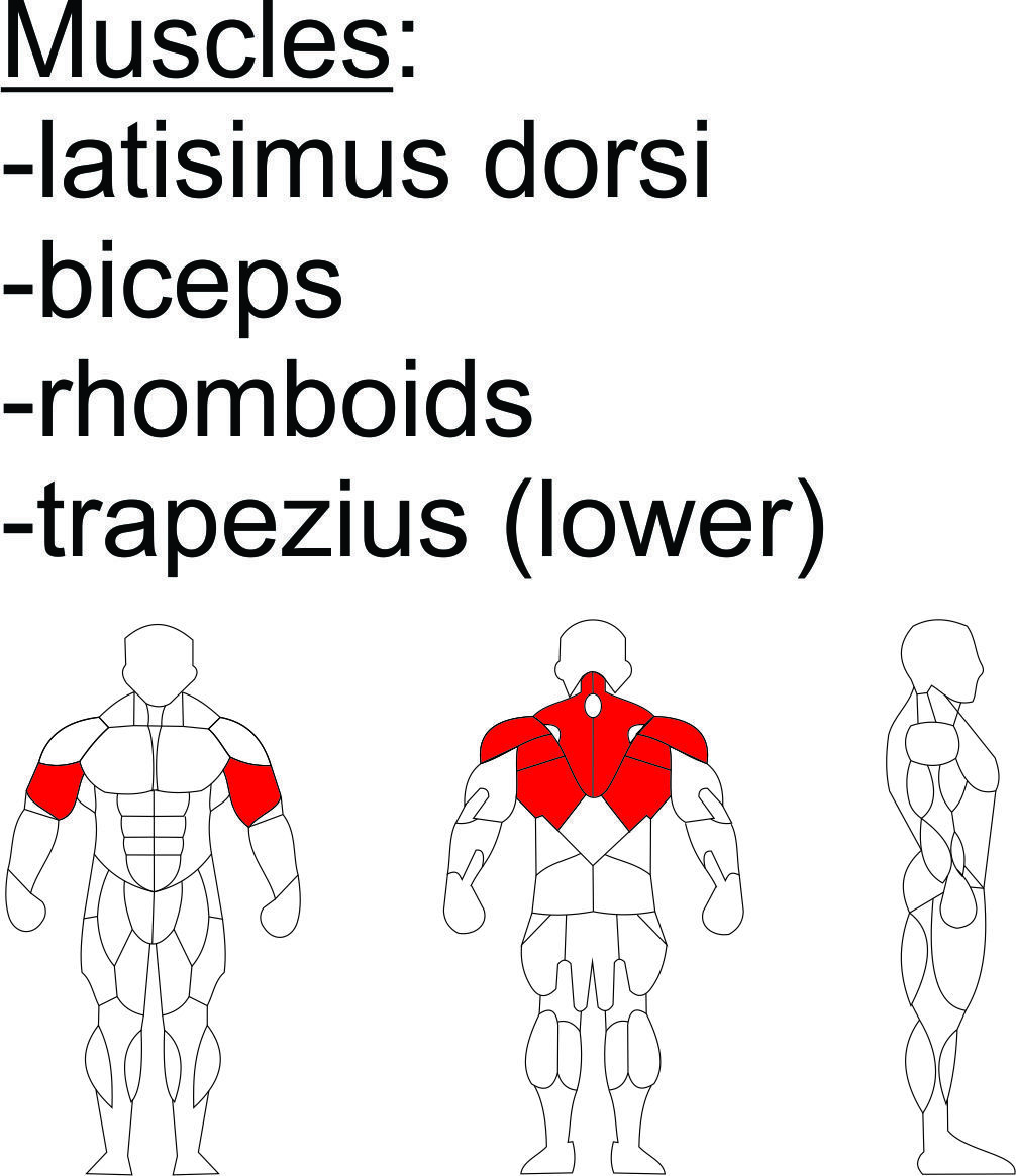 Iso Lateral Back Row Grade: Commercial Use