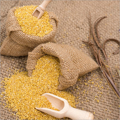 Foxtail Millet