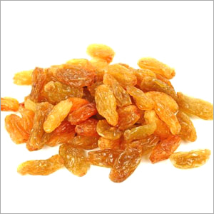 Gold Raisin - Color: Yellow