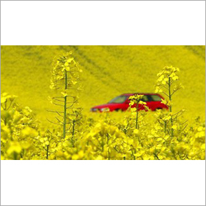 Crude Degummed Rapeseed Oil - Application: Industrial