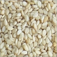 Natural Sesame Seeds - Organic Food Grade White Oil Seeds | Premium Quality, Healthy Snack Option