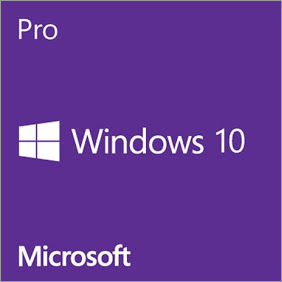 Windows 10 Pro MOLP (Microsoft Open License Program)