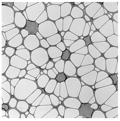 200 मेश निकेल पर लेसी कार्बन फिल्म्स (25 का पैक)