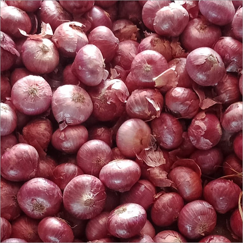 ताजा प्याज