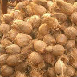 Husked Coconut - Fresh Whole Coconut with Fibrous Brown Husk & Hygienic Water | Enriched with Protein, Iron, Potassium, Ideal for Mothers