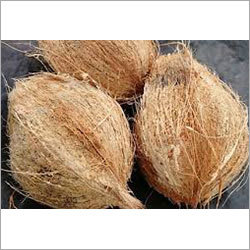 आम ताजा भूसी वाला नारियल