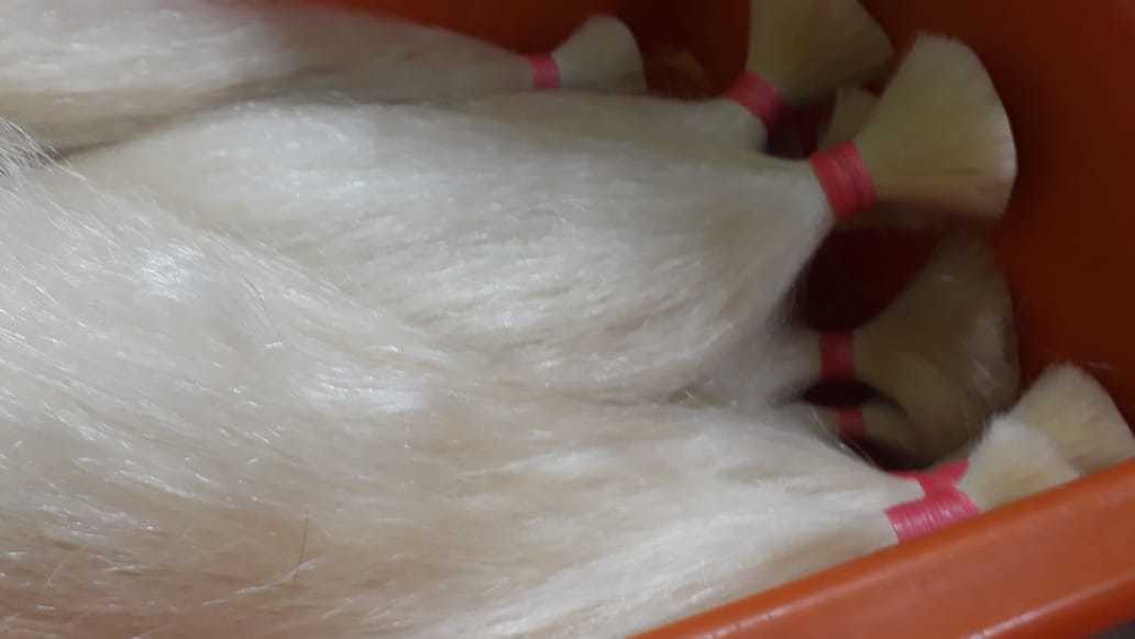 Blonde Hair Application: Profesional