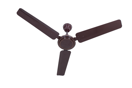 बुलेट (भूरा) शीबा