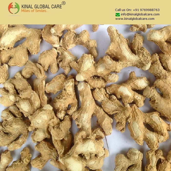 Brown Dry Ginger