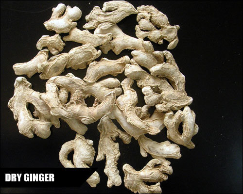 Light Brown Best Dry Ginger Spices