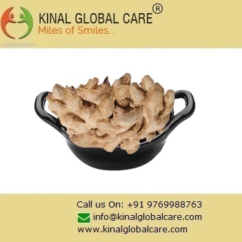 Light Brown Best Dry Ginger Spices