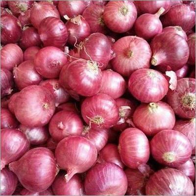 Small Fresh Red Onion