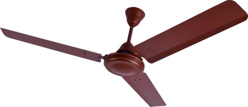 एक्टिवा (मैट ब्राउन) शीबा