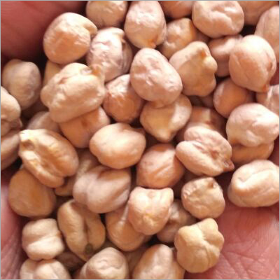 Organic Kabuli Chana - Whole, 99% Purity, 1 Year Shelf Life | Supports Digestive Health, Great Source Of Protein, Versatile Indian Cuisine Option