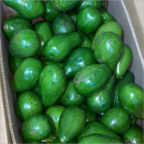 Fresh Avocado - Organic Whole Avocados | High Class Natural Variety, Perfectly Packed For Freshness And Protection Against Contaminants