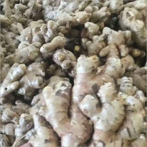 Fresh Ginger - C, B, A Grade | Raw Processing, 7-10 Days Shelf Life, 50 Kg In Gunny Bag Packaging