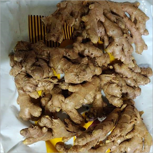 Ginger Seed - Organic, 99%-100% Purity, 3 Months Shelf Life | Flavor Enhancer With Medicinal Benefits And Natural Cleansing Properties