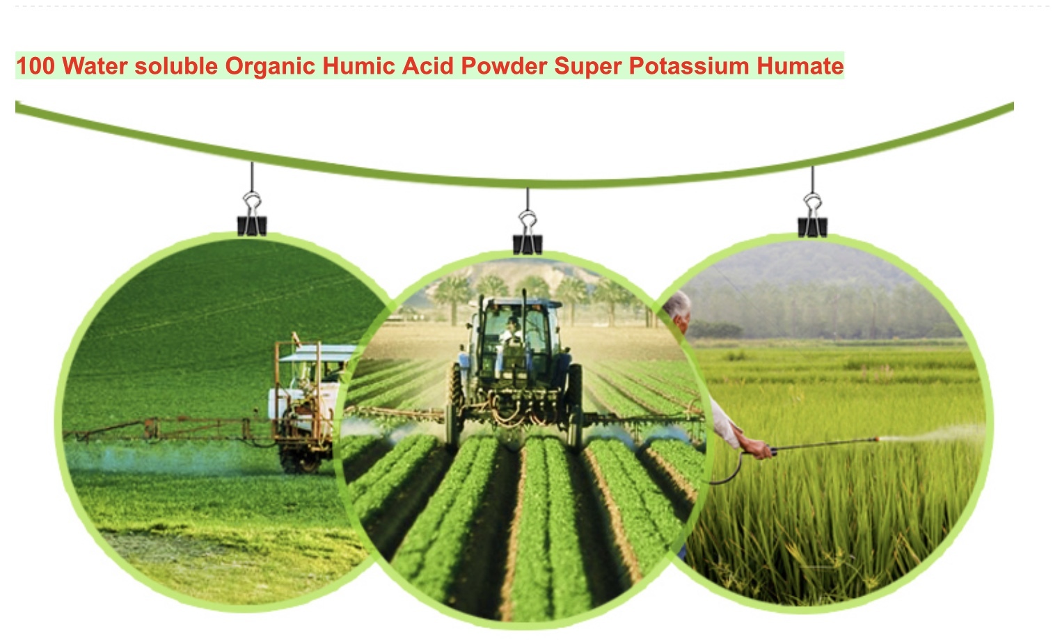 Potassium F Humate Shiny Flakes Application: Agriculture