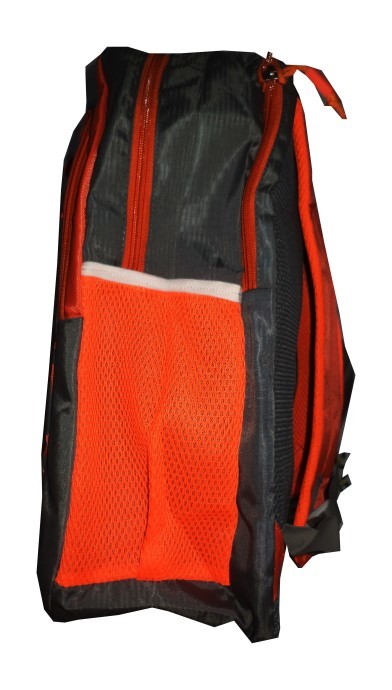 A- Atr 23 Liters Raincover Laptop Lightweight Backpack P081