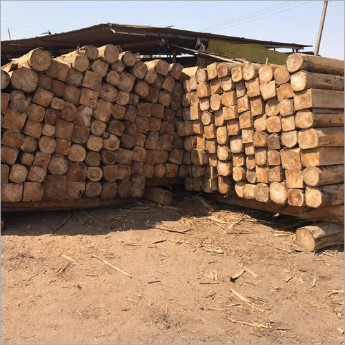 Sudan Teak Logs Usage: Furniture