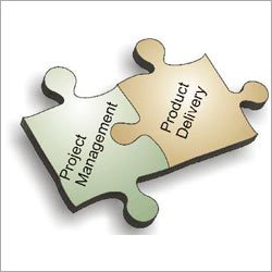 परियोजना प्रबंधन सेवाएं