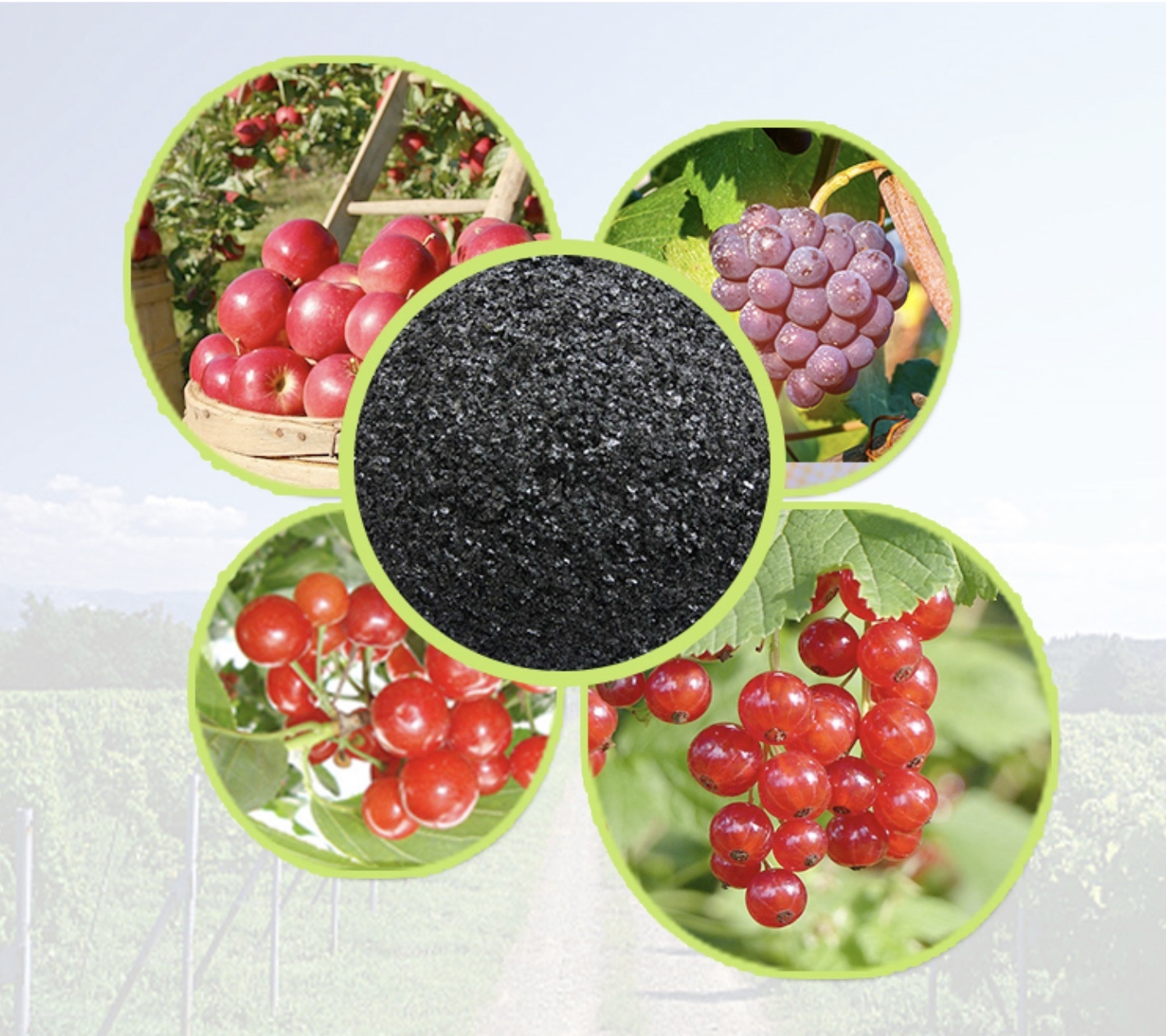 Humate Shiny Flakes - Application: Agrochemical