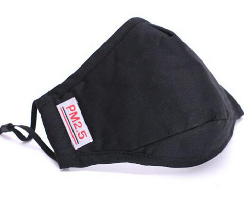PM2.5 Mask with Activated Carbon Filter