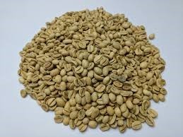 Rich Monsoon Malabar