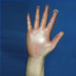 Nitrile Disposable Gloves