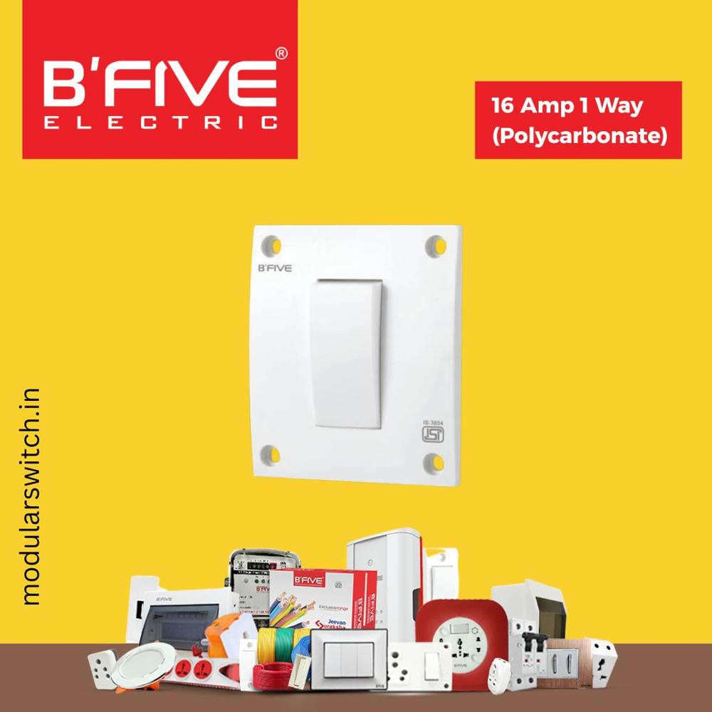 16 Amp 1 वे (पॉली कार्बोनेट)