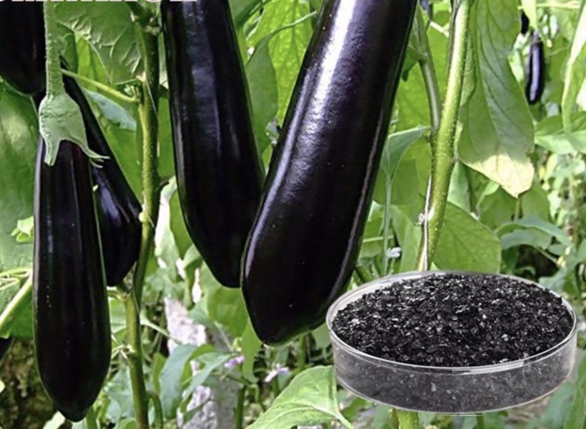 Potassium Humate Ultra Shiny Black Flakes - Application: Agriculture